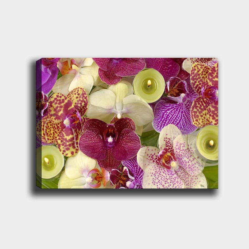 Lærred 70x100 cm - Farverig samling af orkideer i forskellige nuancer og former, Lilla / Hvid / Gul