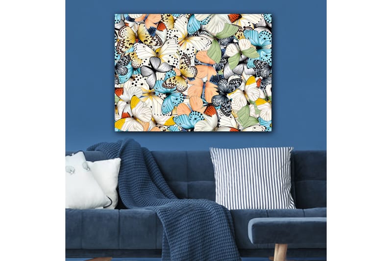 Lærred 70x100 cm - Farverig samling af sommerfugle i forskellige mønstre og farver - Blå / Hvid / Orange - Boligtilbehør - Billeder & kunst - Billeder på lærred