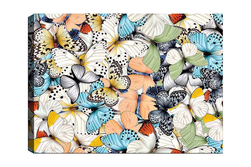 Lærred 70x100 cm - Farverig samling af sommerfugle i forskellige mønstre og farver, Blå / Hvid / Orange