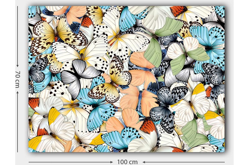 Lærred 70x100 cm - Farverig samling af sommerfugle i forskellige mønstre og farver - Blå / Hvid / Orange - Boligtilbehør - Billeder & kunst - Billeder på lærred