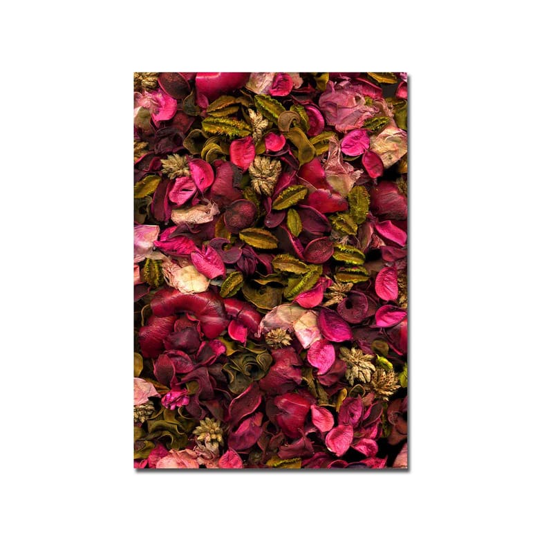 Lærred 70x100 cm - Farverig samling af tørrede blomster og blade - Lyserød / Grøn / Brun - Boligtilbehør - Billeder & kunst - Billeder på lærred