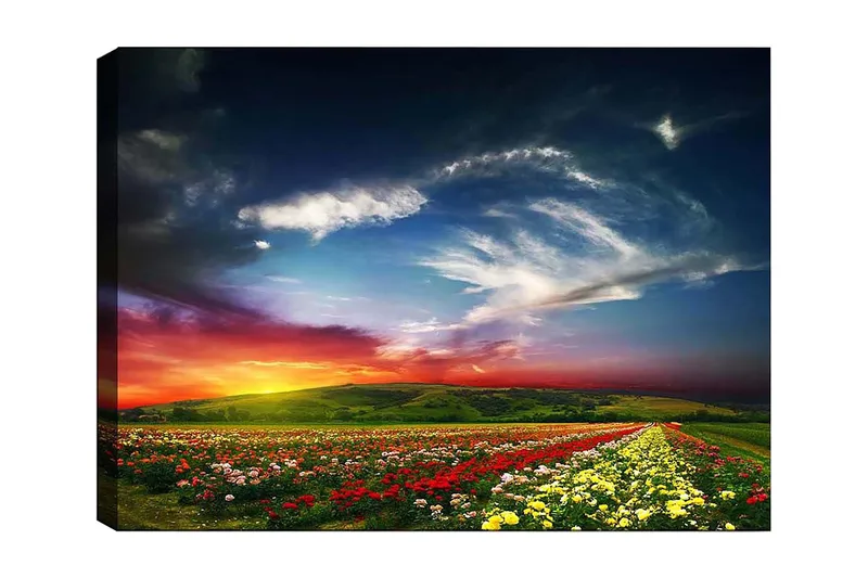 Lærred 70x100 cm - Farverig solnedgang over en blomstermark med varierende blomster i forgrunden, Rød / Gul / Grøn