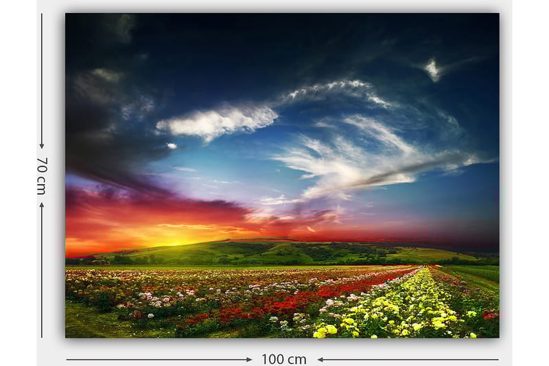 Lærred 70x100 cm - Farverig solnedgang over en blomstermark med varierende blomster i forgrunden - Rød / Gul / Grøn - Boligtilbehør - Billeder & kunst - Billeder på lærred