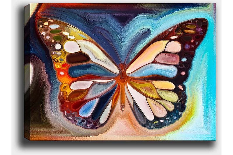 Lærred 70x100 cm - Farverig sommerfugl med detaljerede vinger i forskellige nuancer - Orange / Blå / Hvid - Boligtilbehør - Billeder & kunst - Billeder på lærred