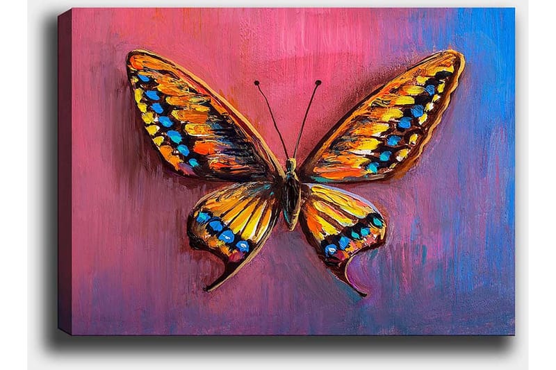 Lærred 70x100 cm - Farverig sommerfugl med detaljerede vinger i orange og blå - Orange / Blå / Lilla - Boligtilbehør - Billeder & kunst - Billeder på lærred