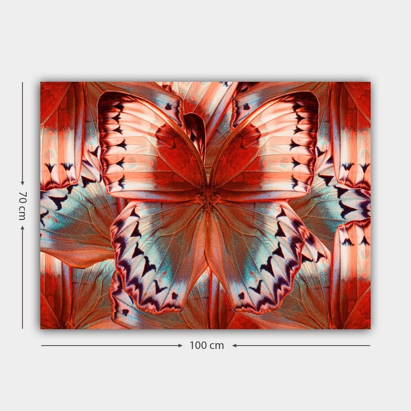 Lærred 70x100 cm - Farverig sommerfugl med detaljerede vinger i røde og blå nuancer - Rød / Blå - Boligtilbehør - Billeder & kunst - Billeder på lærred