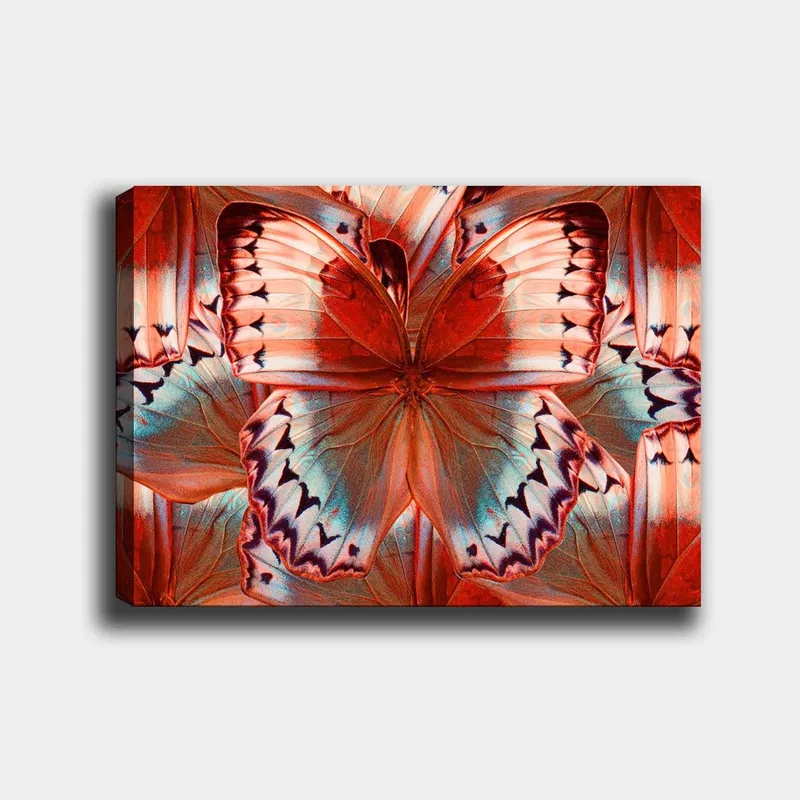 Lærred 70x100 cm - Farverig sommerfugl med detaljerede vinger i røde og blå nuancer, Rød / Blå