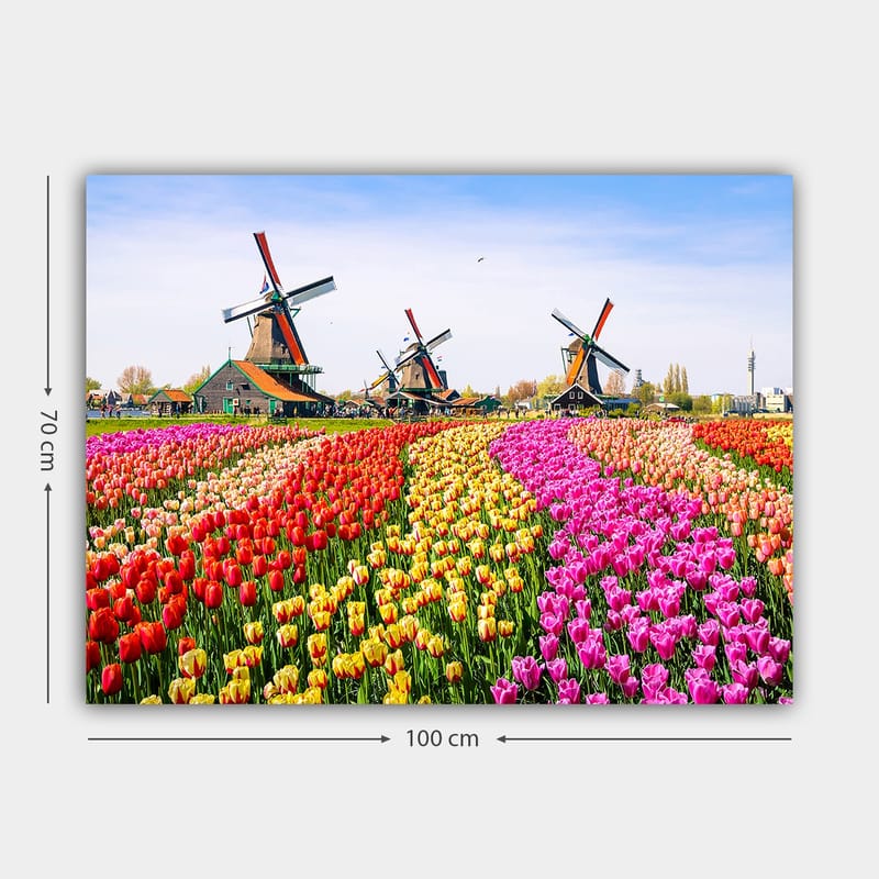 Lærred 70x100 cm - Farverig tulipanmark med vindmølle i baggrunden - Rød / Gul / Lyserød - Boligtilbehør - Billeder & kunst - Billeder på lærred