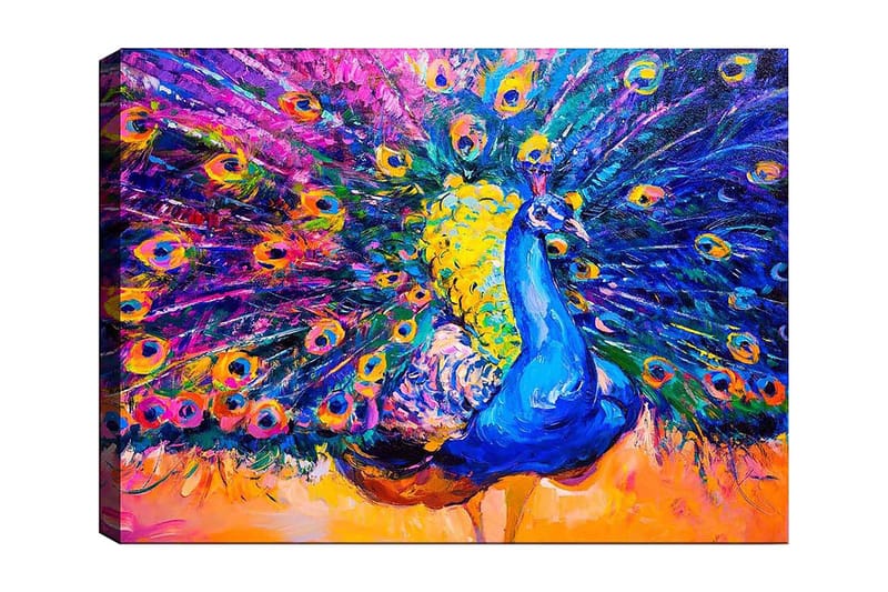 Lærred 70x100 cm - Farverig påfugl med spredte fjer skaber en dramatisk effekt, Blå / Lilla / Gul