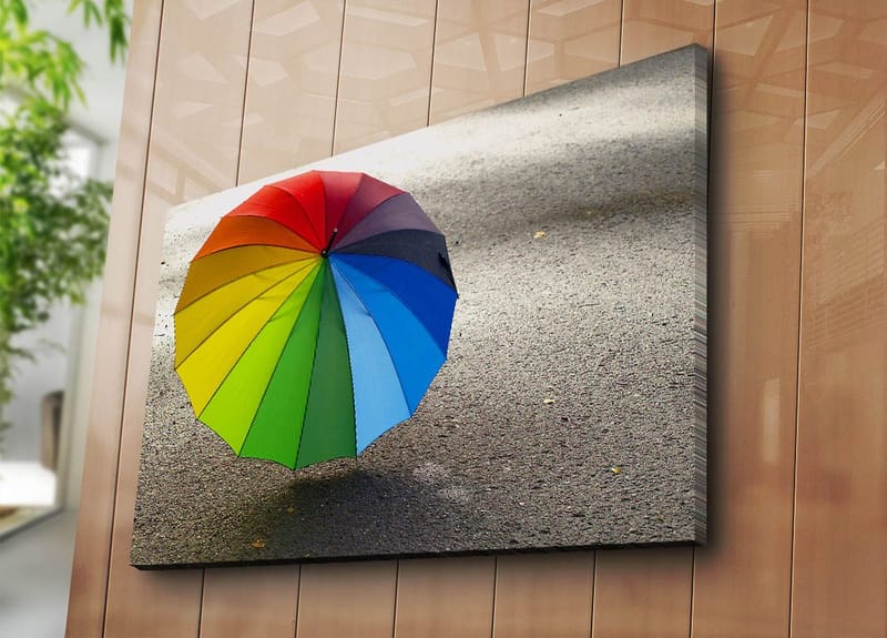 Lærred 70x100 cm - Farverig paraply stående på en grå overflade - Rød / Grøn / Blå - Boligtilbehør - Billeder & kunst - Billeder på lærred