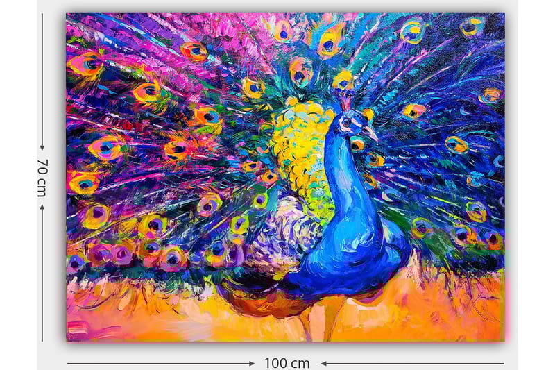 Lærred 70x100 cm - Farverig påfugl med spredte fjer skaber en dramatisk effekt - Blå / Lilla / Gul - Boligtilbehør - Billeder & kunst - Billeder på lærred