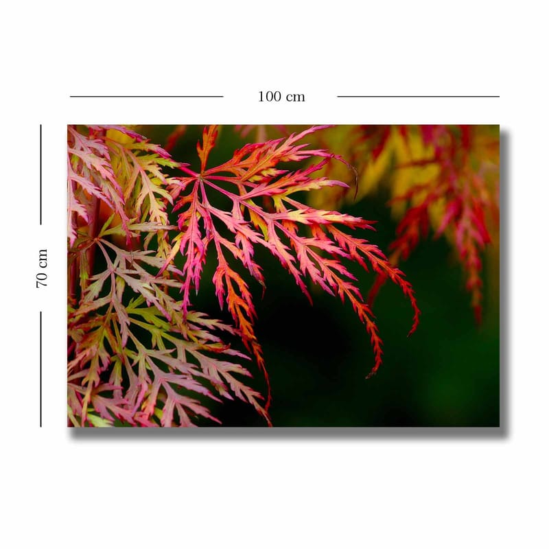 Lærred 70x100 cm - Farverige ahornblade i forskellige nuancer af rød og pink - Rød / Pink / Grøn - Boligtilbehør - Billeder & kunst - Billeder på lærred