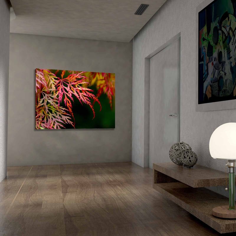 Lærred 70x100 cm - Farverige ahornblade i forskellige nuancer af rød og pink - Rød / Pink / Grøn - Boligtilbehør - Billeder & kunst - Billeder på lærred