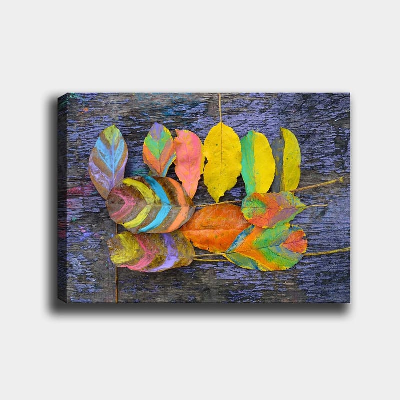 Lærred 70x100 cm - Farverige blade arrangeret på en mørk baggrund, Gul / Orange / Grøn