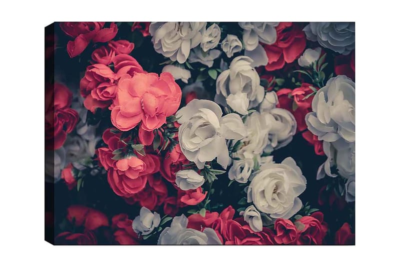 Lærred 70x100 cm - Farverige blomster i røde og hvide nuancer, Rød / Hvid