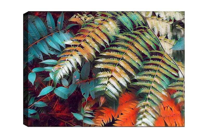 Lærred 70x100 cm - Farverige bregneblade i en livlig komposition, Turkis / Grøn / Orange