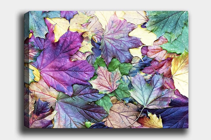 Lærred 70x100 cm - Farverige efterårsblade i en harmonisk komposition, Lilla / Grøn / Gul