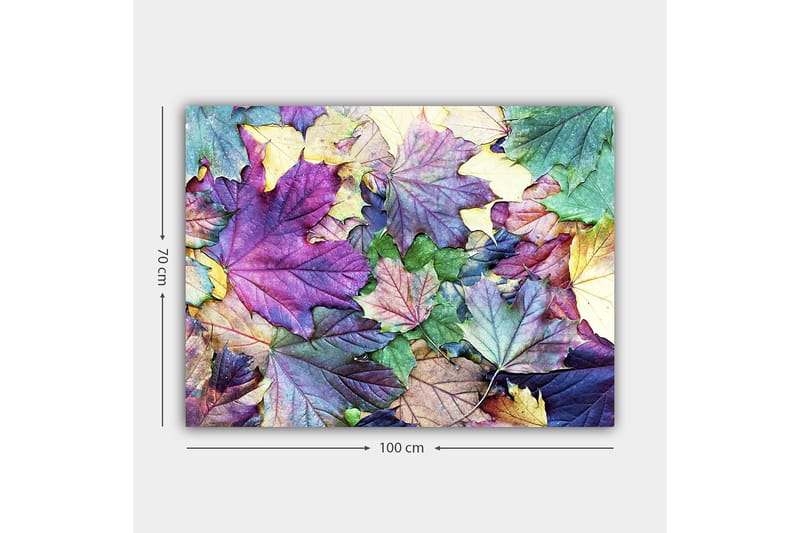 Lærred 70x100 cm - Farverige efterårsblade i en harmonisk komposition - Lilla / Grøn / Gul - Boligtilbehør - Billeder & kunst - Billeder på lærred