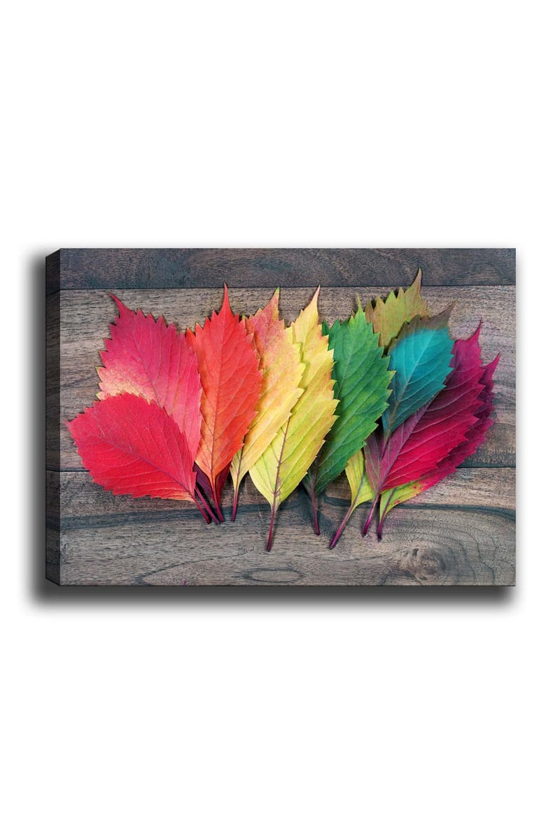 Lærred 70x100 cm - Farverige efterårsblade i forskellige nuancer liggende på en træoverflade, Rød / Grøn / Gul