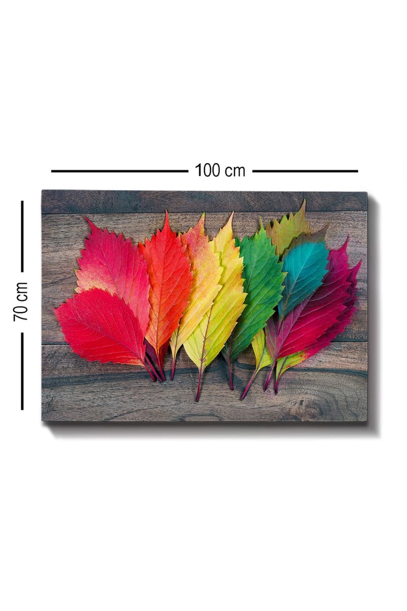 Lærred 70x100 cm - Farverige efterårsblade i forskellige nuancer liggende på en træoverflade - Rød / Grøn / Gul - Boligtilbehør - Billeder & kunst - Billeder på lærred