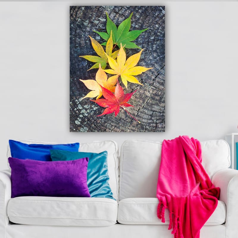 Lærred 70x100 cm - Farverige efterårsblade i forskellige nuancer på en træoverflade, Grøn / Gul / Rød