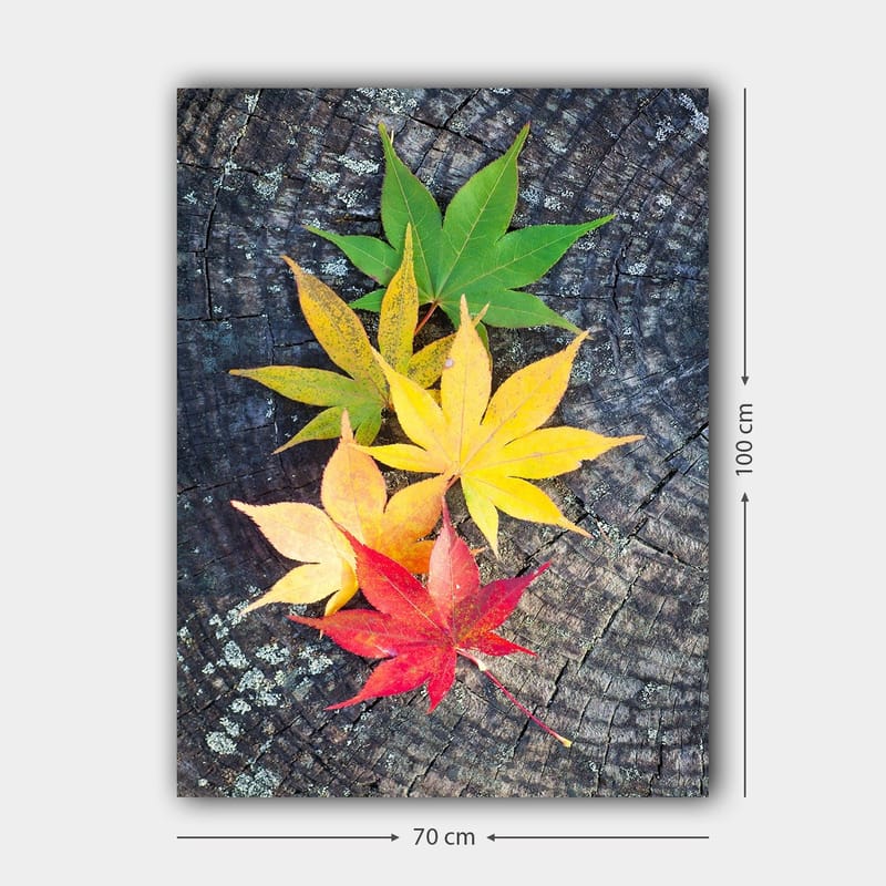Lærred 70x100 cm - Farverige efterårsblade i forskellige nuancer på en træoverflade - Grøn / Gul / Rød - Boligtilbehør - Billeder & kunst - Billeder på lærred