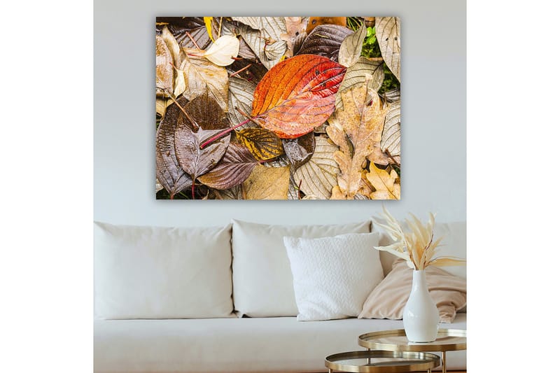 Lærred 70x100 cm - Farverige efterårsblade på en fugtig jordoverflade - Rød / Brun / Gul - Boligtilbehør - Billeder & kunst - Billeder på lærred