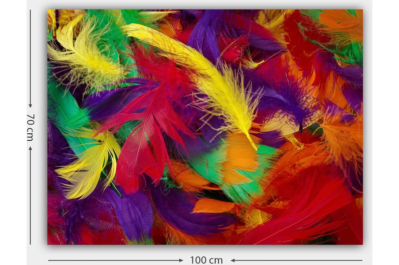 Lærred 70x100 cm - Farverige fjer i en livlig komposition - Rød / Gul / Grøn - Boligtilbehør - Billeder & kunst - Billeder på lærred