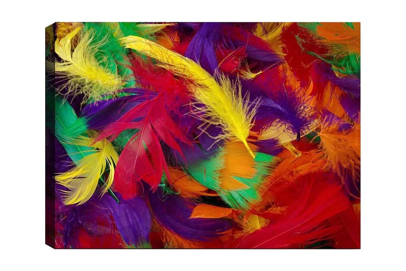 Lærred 70x100 cm - Farverige fjer i en livlig komposition - Rød / Gul / Grøn - Boligtilbehør - Billeder & kunst - Billeder på lærred