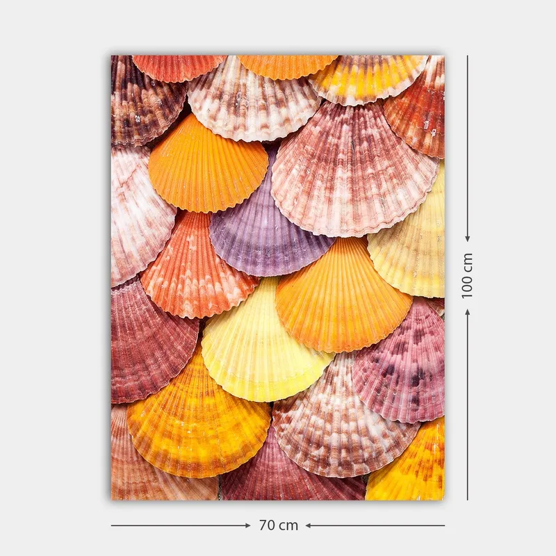 Lærred 70x100 cm - Farverige muslingeskaller i et smukt mønster - Orange / Lilla / Lyserød - Boligtilbehør - Billeder & kunst - Billeder på lærred