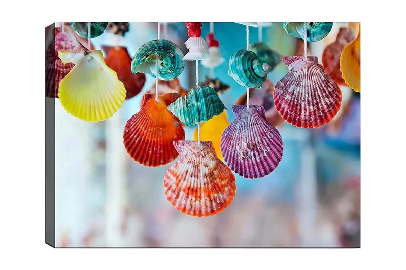Lærred 70x100 cm - Farverige skaller hængende i et dekorativt sæt - Rød / Grøn / Orange - Boligtilbehør - Billeder & kunst - Billeder på lærred