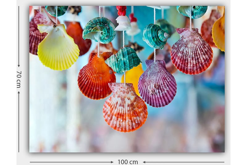 Lærred 70x100 cm - Farverige skaller hængende i et dekorativt sæt - Rød / Grøn / Orange - Boligtilbehør - Billeder & kunst - Billeder på lærred