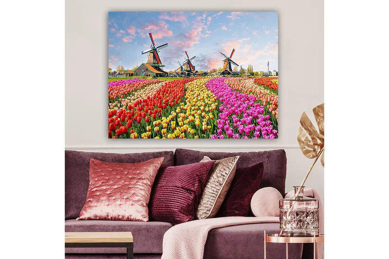 Lærred 70x100 cm - Farverige tulipanmarker med vindmøller i baggrunden, Rød / Lyserød / Gul