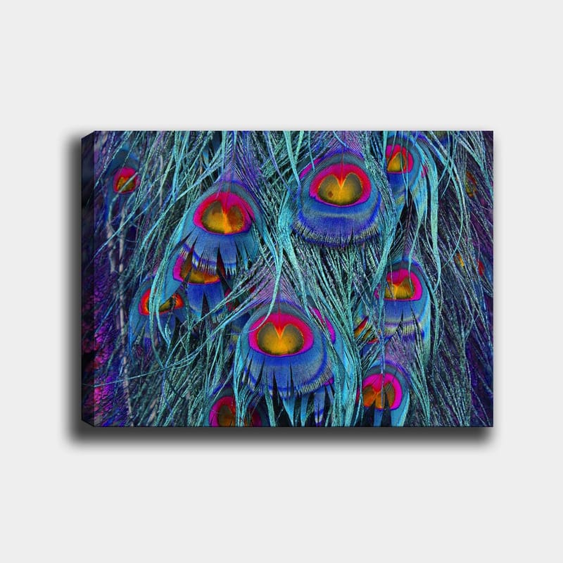 Lærred 70x100 cm - Farverige påfuglefjer med et hypnotiserende mønster, Turkis / Lilla / Rød