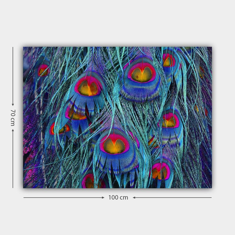 Lærred 70x100 cm - Farverige påfuglefjer med et hypnotiserende mønster - Turkis / Lilla / Rød - Boligtilbehør - Billeder & kunst - Billeder på lærred