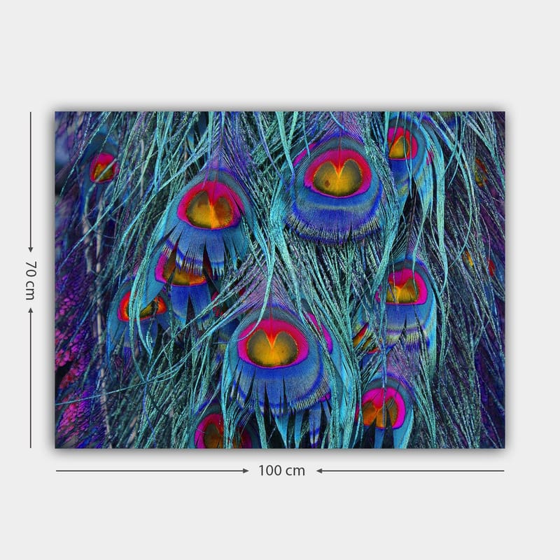 Lærred 70x100 cm - Farverige påfuglefjer med et hypnotiserende mønster - Turkis / Lilla / Rød - Boligtilbehør - Billeder & kunst - Billeder på lærred