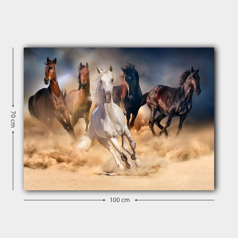 Lærred 70x100 cm - Fem heste i fuld galop gennem sand og støv - Hvid / Brun / Sort - Boligtilbehør - Billeder & kunst - Billeder på lærred