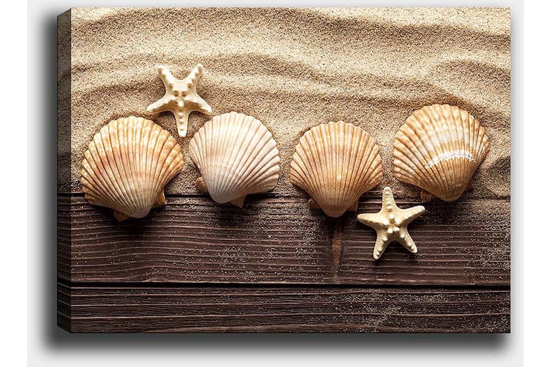 Lærred 70x100 cm - Fem skaller og en søstjerne på en sandbaggrund - Beige / Brun / Hvid - Boligtilbehør - Billeder & kunst - Billeder på lærred