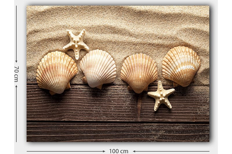 Lærred 70x100 cm - Fem skaller og en søstjerne på en sandbaggrund - Beige / Brun / Hvid - Boligtilbehør - Billeder & kunst - Billeder på lærred