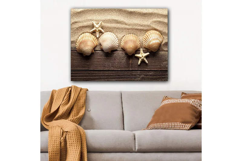Lærred 70x100 cm - Fem skaller og en søstjerne på en sandbaggrund, Beige / Brun / Hvid