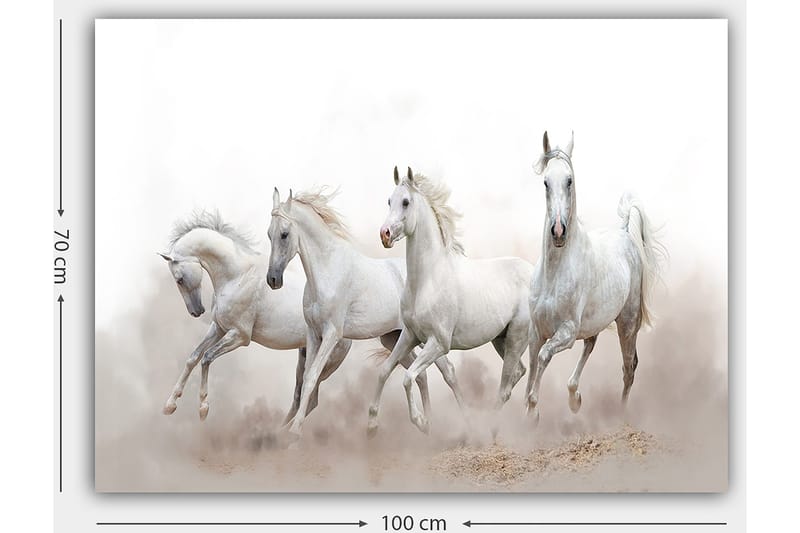 Lærred 70x100 cm - Fire hvide heste galoperer fremad i et tåget miljø - Hvid / Lysegrå - Boligtilbehør - Billeder & kunst - Billeder på lærred