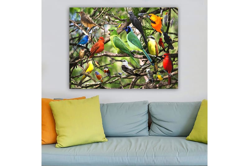 Lærred 70x100 cm - Flere farverige fugle sidder på grene i et livligt naturligt miljø, Grøn / Rød / Blå