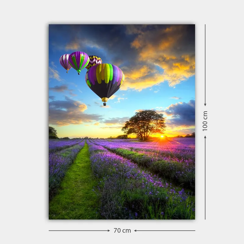 Lærred 70x100 cm - Flere farverige varmluftsballoner svæver over en lavendelmark i solnedgangens lys - Lilla / Grøn / Sort - Boligtilbehør - Billeder & kunst - Billeder på lærred