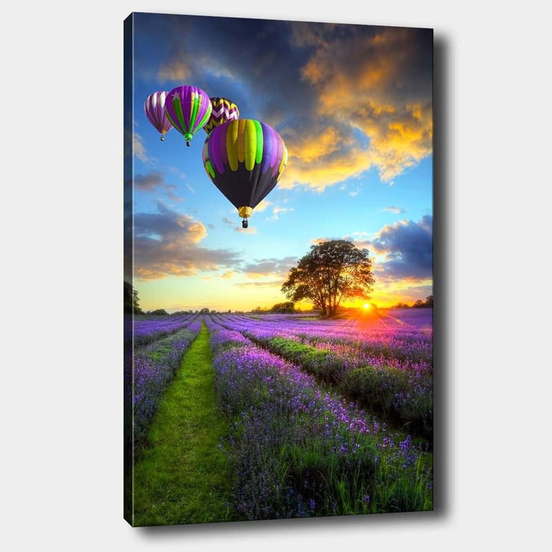 Lærred 70x100 cm - Flere farverige varmluftsballoner svæver over en lavendelmark i solnedgangens lys, Lilla / Grøn / Sort