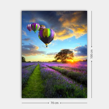 Lærred 70x100 cm - Flere farverige varmluftsballoner svæver over en lavendelmark i solnedgangens lys - Lilla / Grøn / Sort - Boligtilbehør - Billeder & kunst - Billeder på lærred
