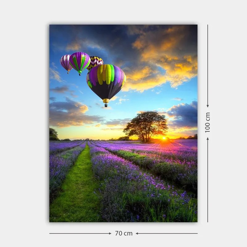 Lærred 70x100 cm - Flere farverige varmluftsballoner svæver over en lavendelmark i solnedgangens lys - Lilla / Grøn / Sort - Boligtilbehør - Billeder & kunst - Billeder på lærred
