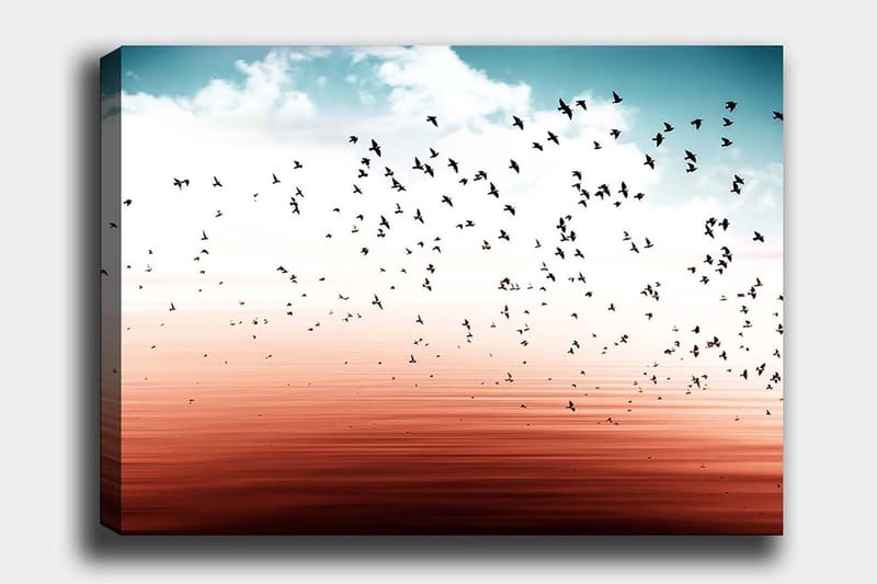 Lærred 70x100 cm - Flok fugle, der flyver over en stille vandoverflade i et harmonisk farveskema, Blå / Koralrød