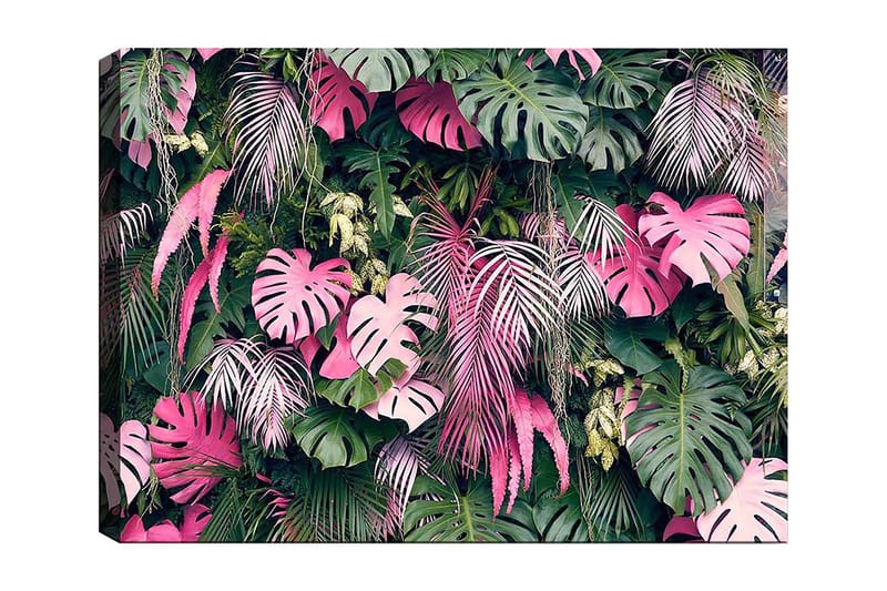 Lærred 70x100 cm - Frodig samling af tropiske planter med store, farverige blade, Grøn / Lyserød