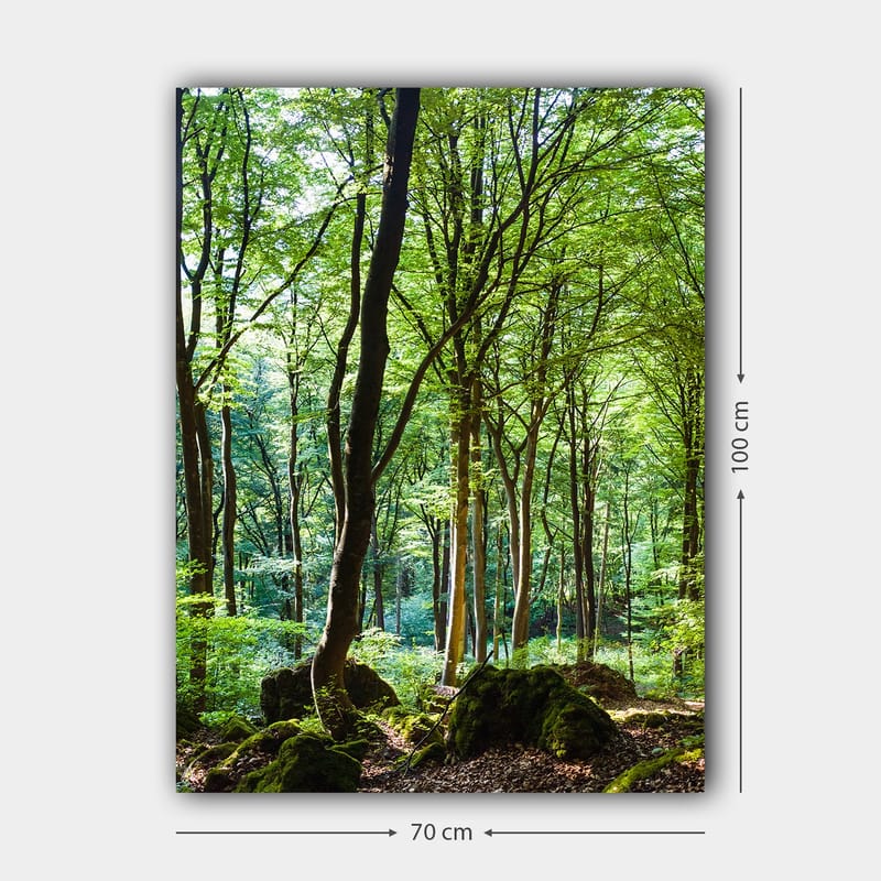 Lærred 70x100 cm - Frodig skov med høje træer og frodig vegetation - Grøn / Brun - Boligtilbehør - Billeder & kunst - Billeder på lærred