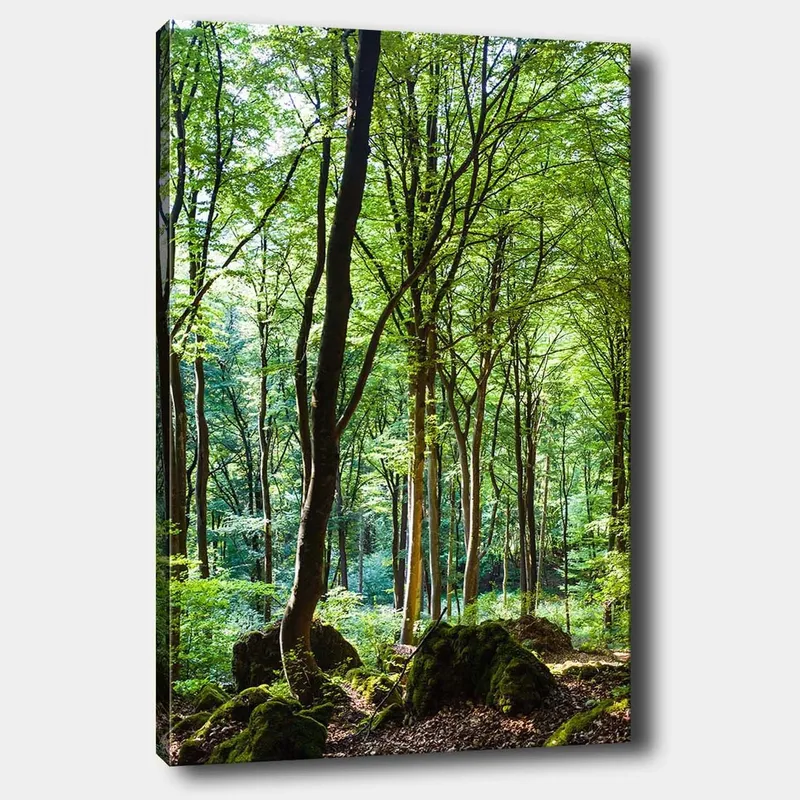 Lærred 70x100 cm - Frodig skov med høje træer og frodig vegetation, Grøn / Brun